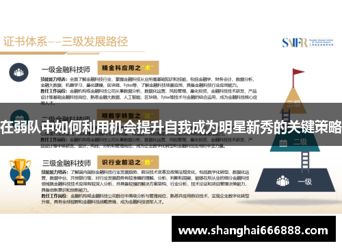 在弱队中如何利用机会提升自我成为明星新秀的关键策略