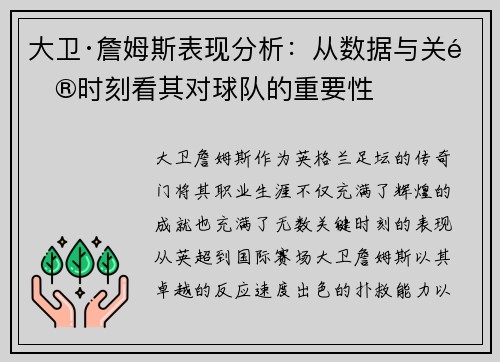 大卫·詹姆斯表现分析：从数据与关键时刻看其对球队的重要性