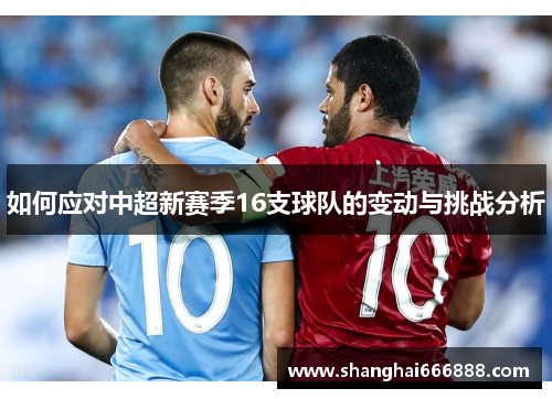 如何应对中超新赛季16支球队的变动与挑战分析 如何应对中超新赛季16支球队的变动与挑战分析