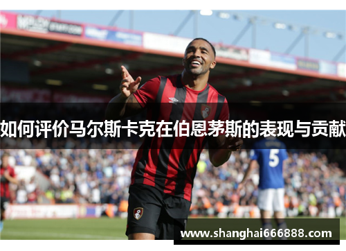 如何评价马尔斯卡克在伯恩茅斯的表现与贡献
